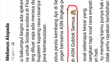 Tegakkan Etika dan Ditergaknya Kehormatan Profesi ASN: Menjawab Narasi Penghinaan di Media Sosial ​