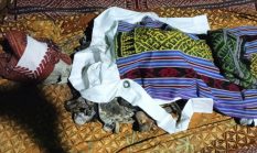 berita-pilihan-foto